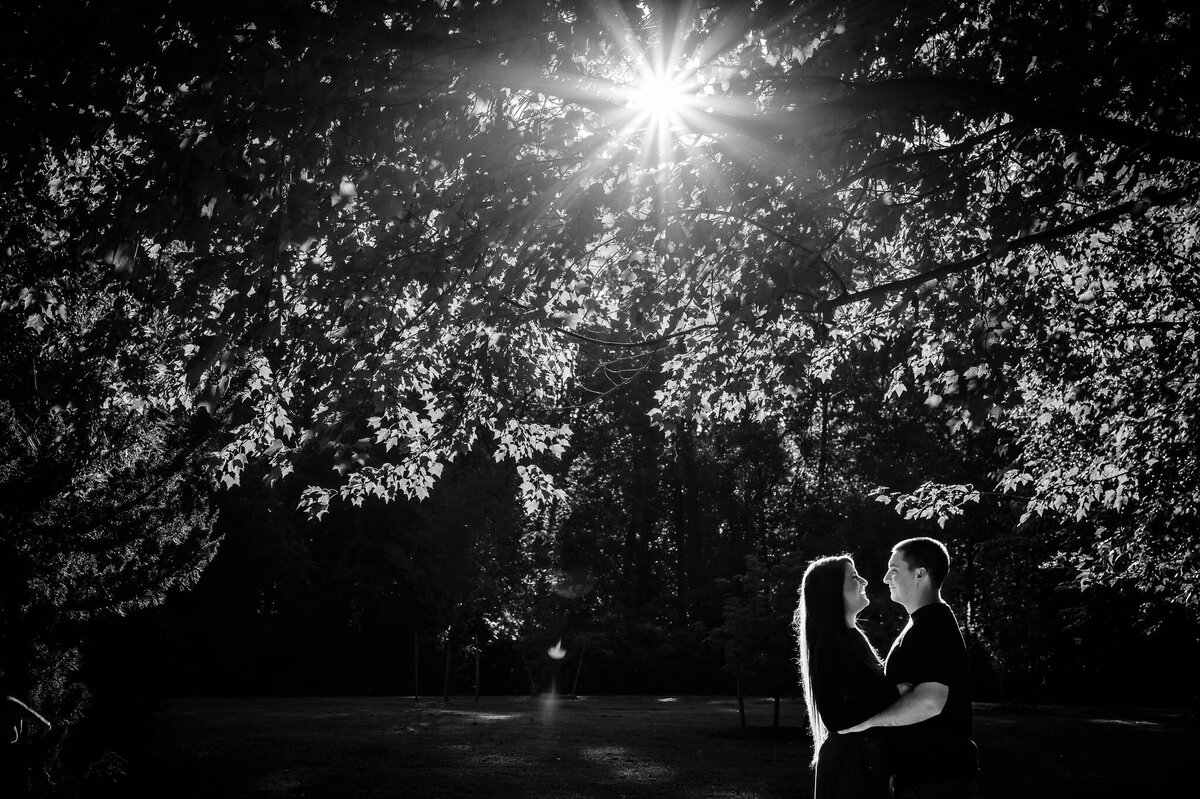 A couple embraces under the large, beautiful canopy of tree branches and leaves