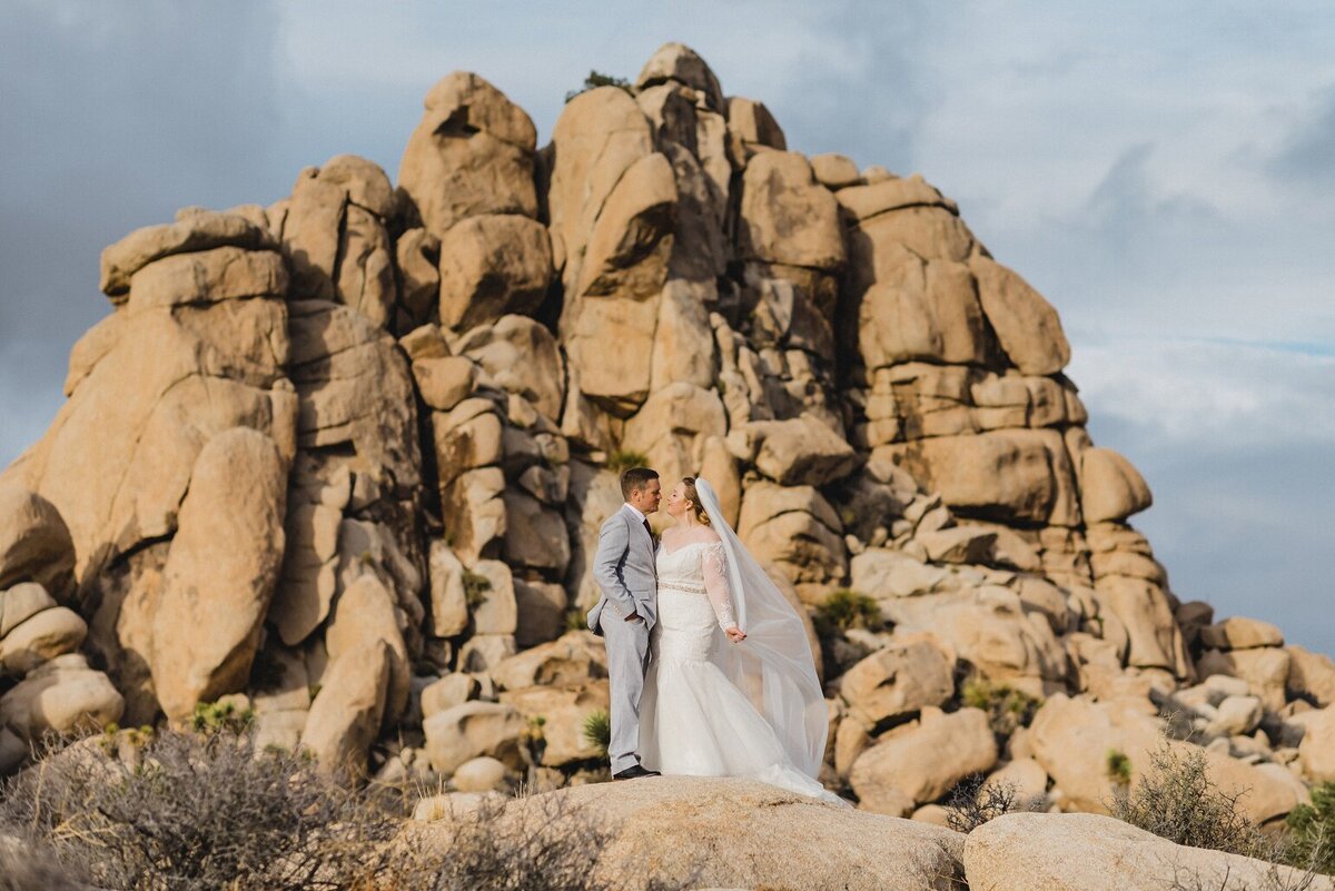 Joshua Tree Elopement Photographer