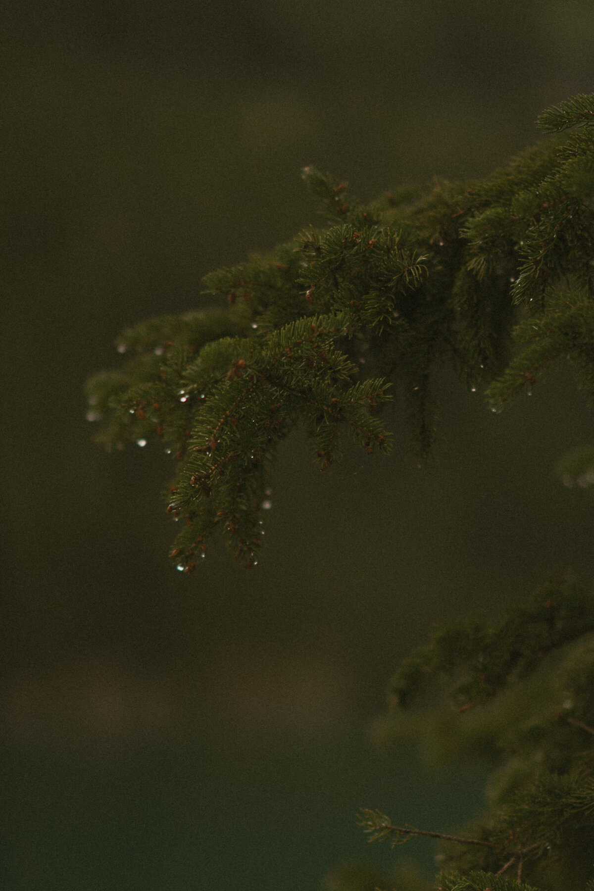 ankebi-photography-1-3
