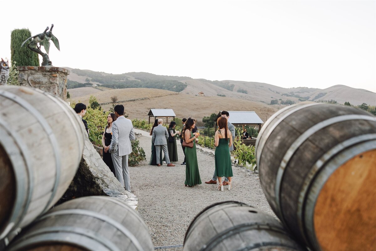 viansa-sonoma-wedding-annie-ben-ashley-carlascio-photography-0803