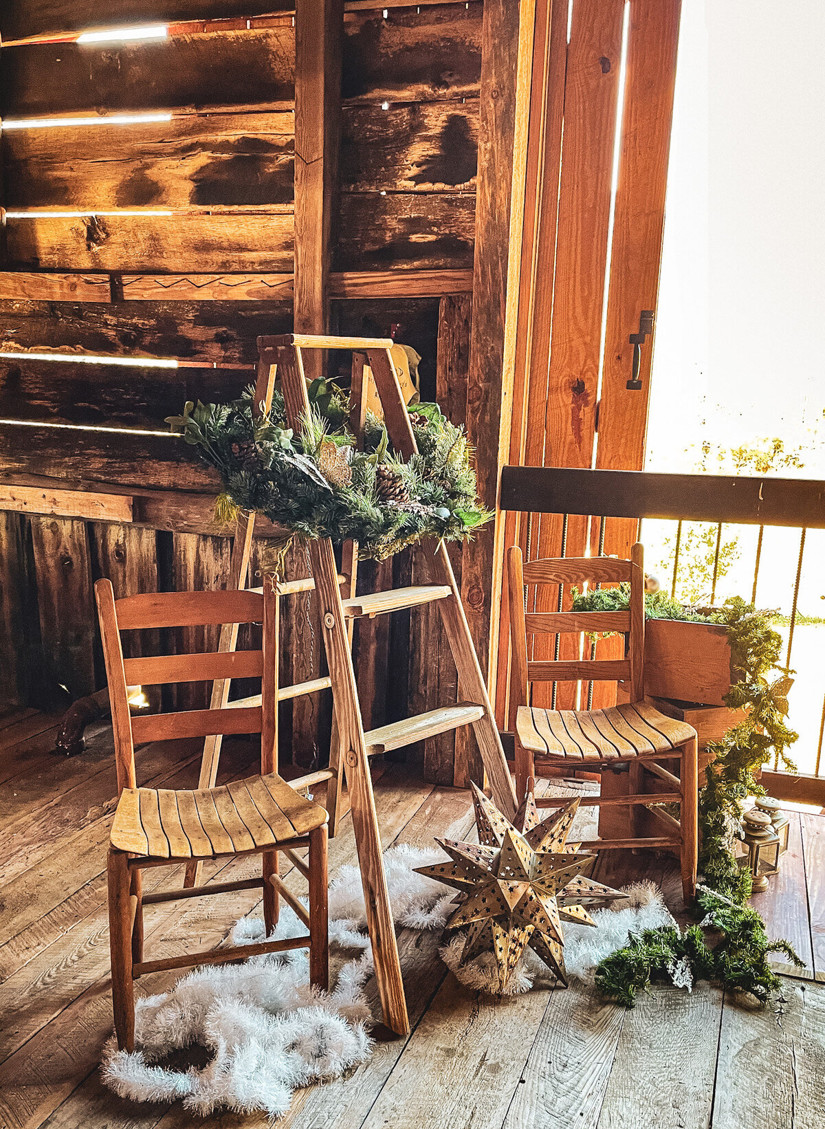 Mountain-Laurel-Farm-Christmas-Mini-Session-Photo-Venue234