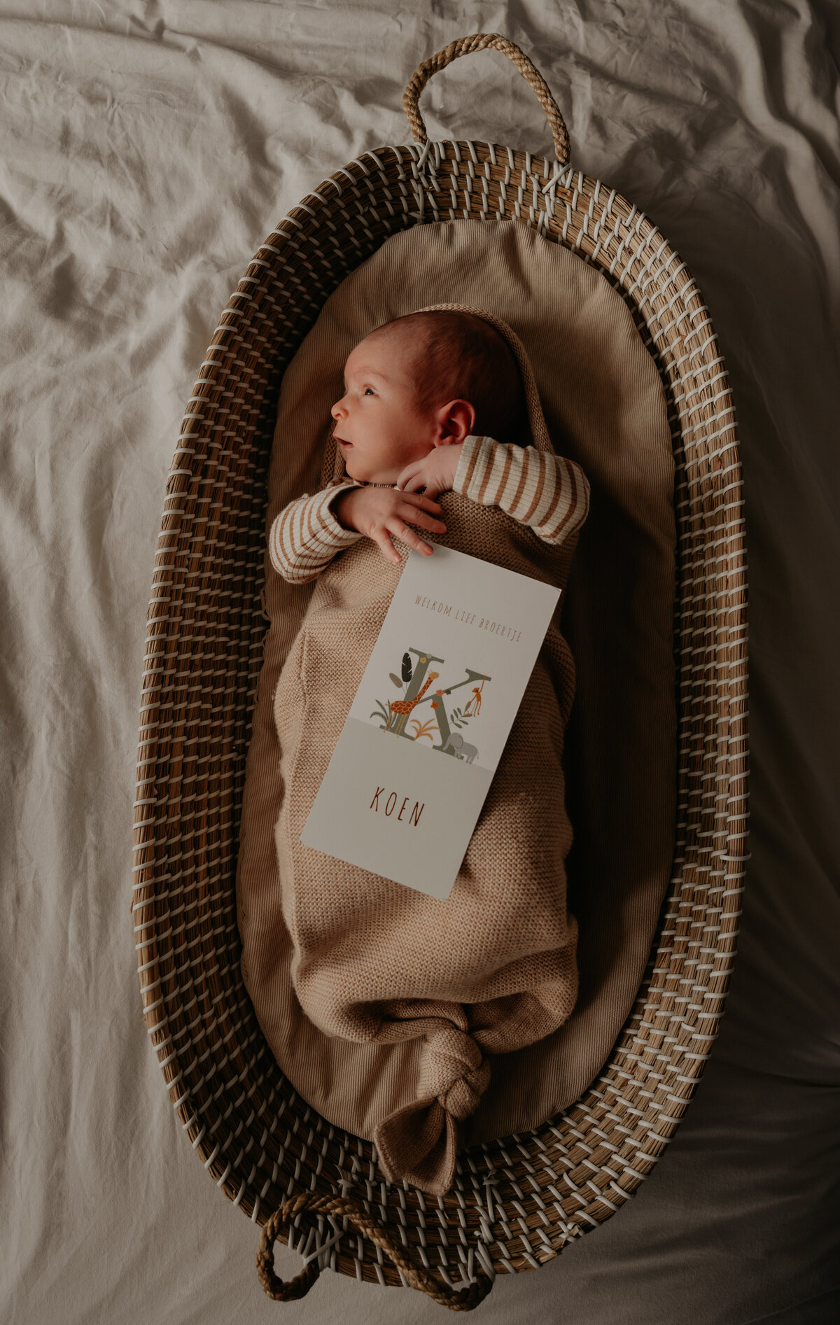 240328 Newbornshoot KoenDSC01104 58