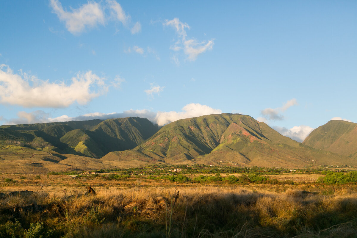 Maui-Hawaii-Honeymoon-485