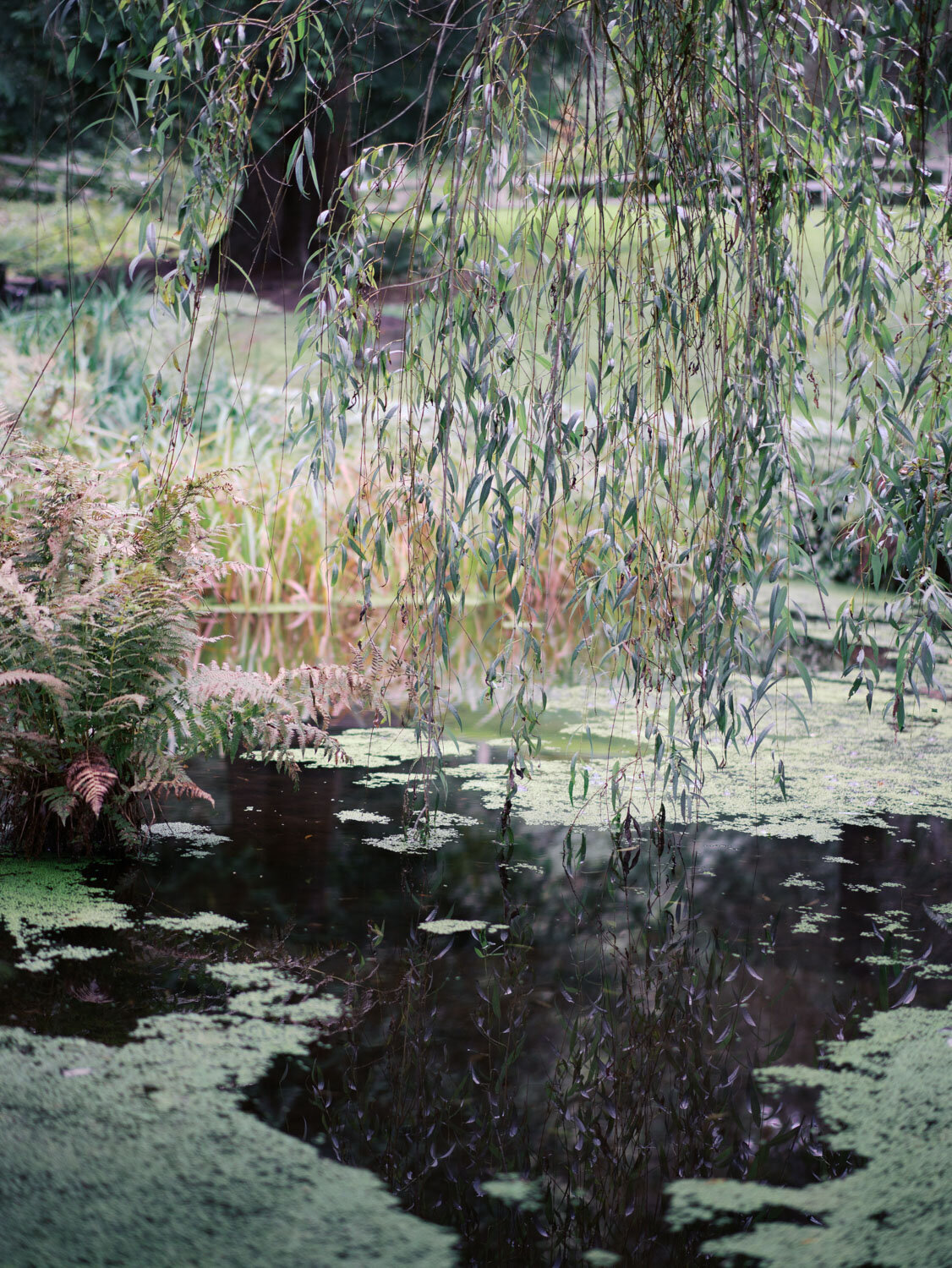 Pond at the garden in chateau lill