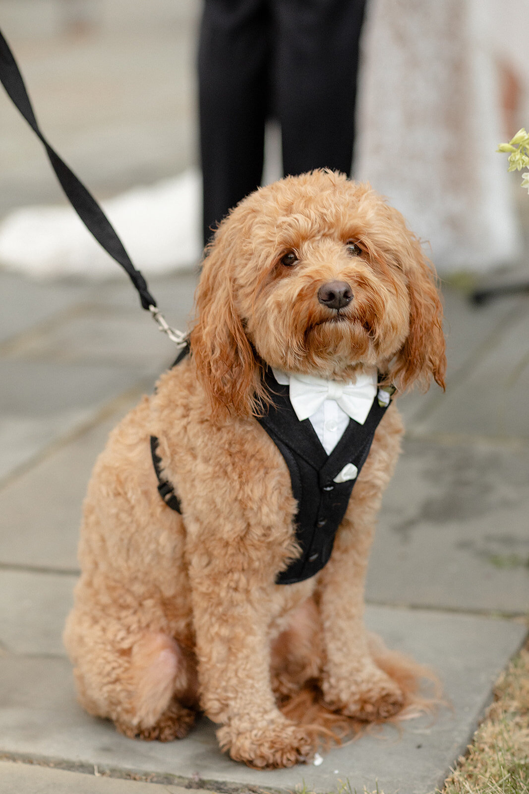 KateEdwardsWeddings_Irma&Mischa_WeddingFinals-710