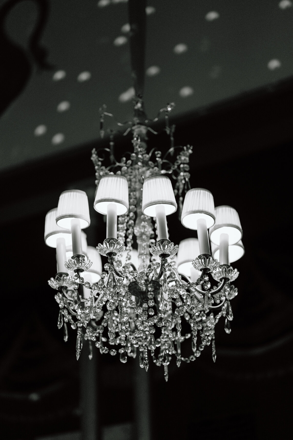 MayahLeePhotography-ChicagoWedding-JM-122