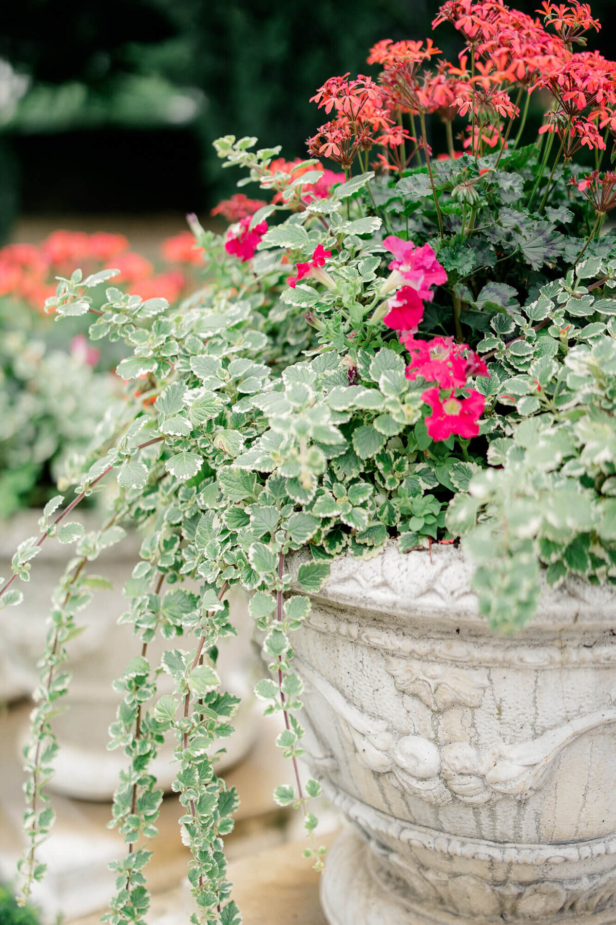 Couple Photography Vienna