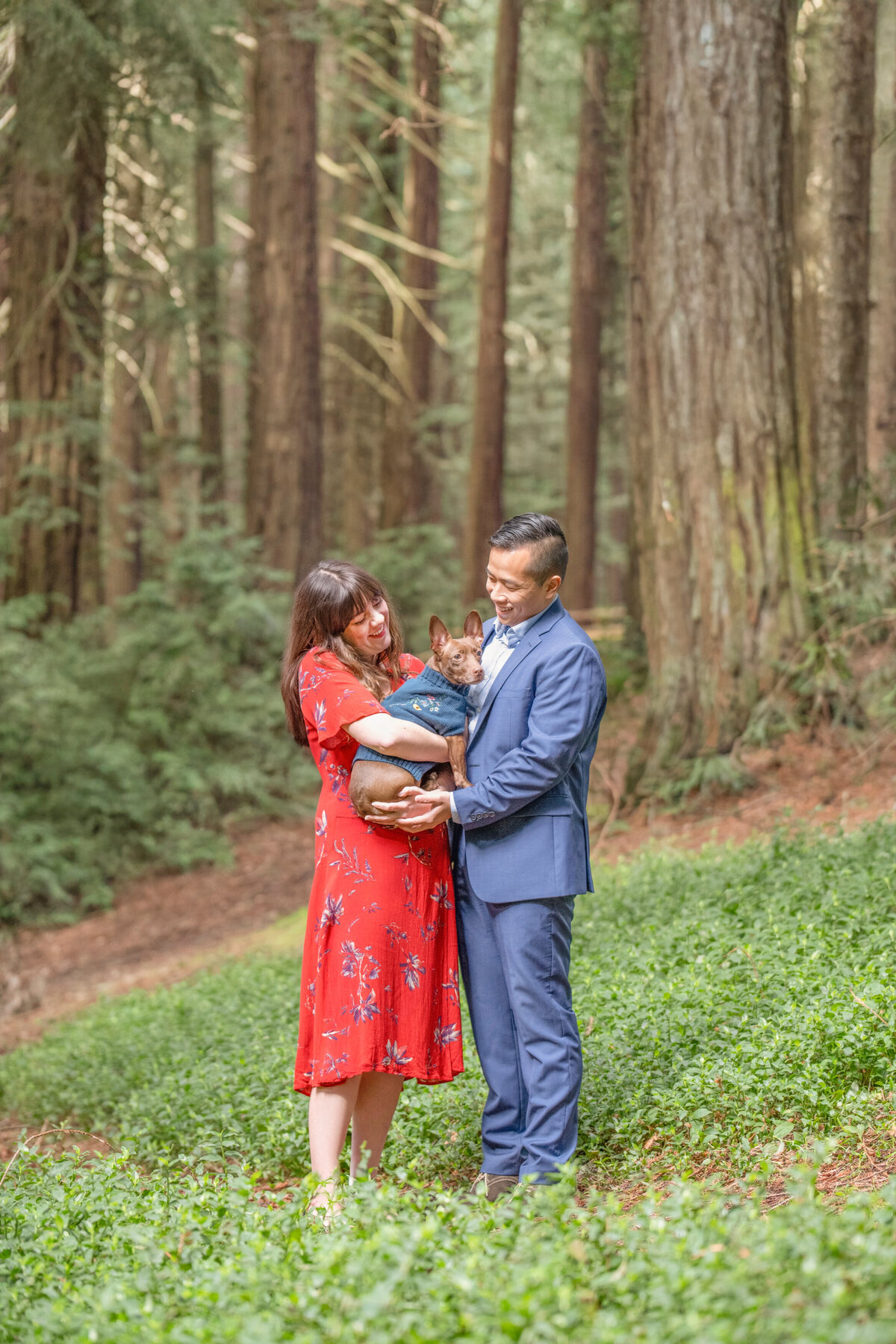 Kosuke & Chelsea  Engagement Portraits_ California Redwoods _09