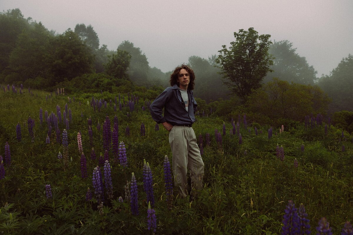 Viewing Lupines in Maine