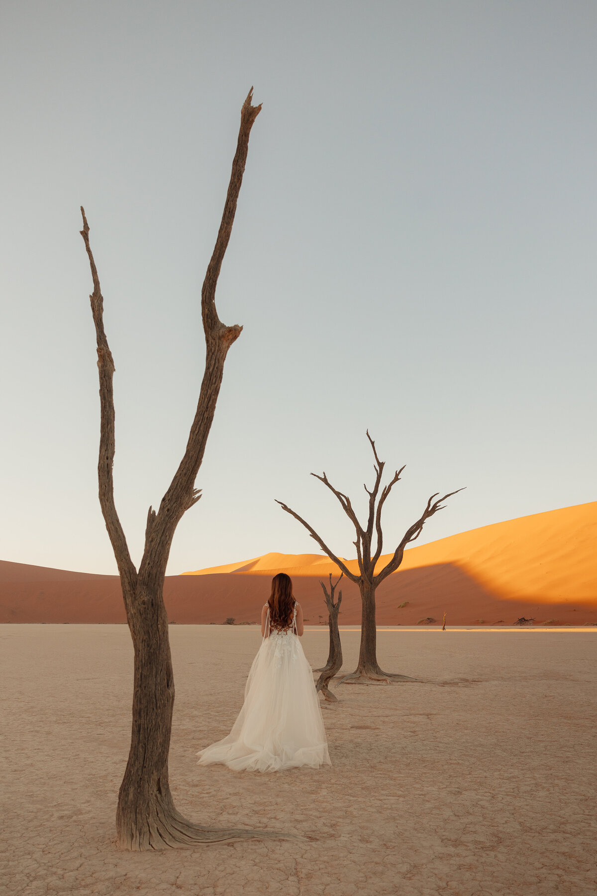 Zhila Ziad Nuri Elopement Wedding Sossusvlei Namibia Africa Heleen Photography-244