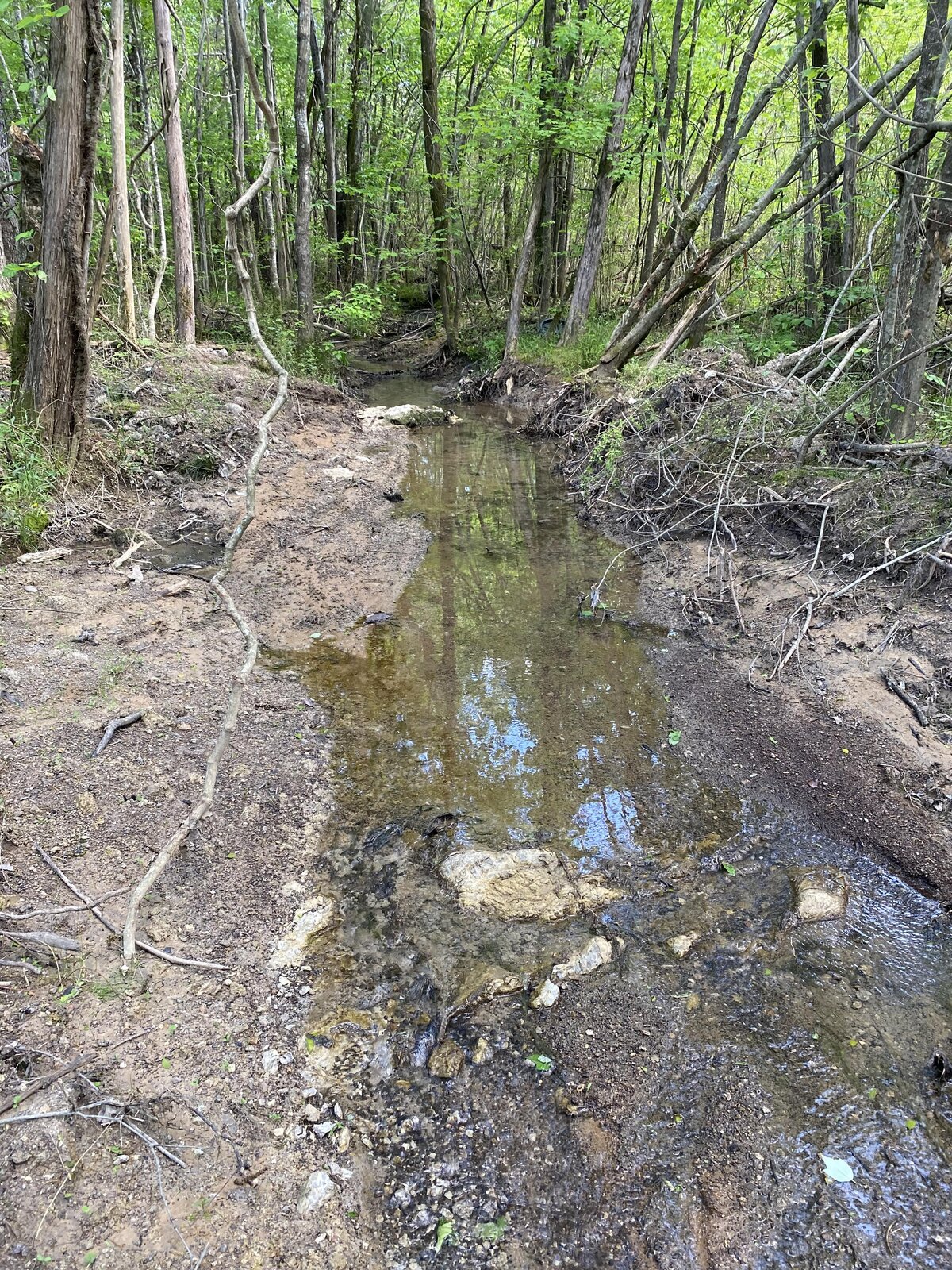 stream-of-water-in-heavily-wooded-area
