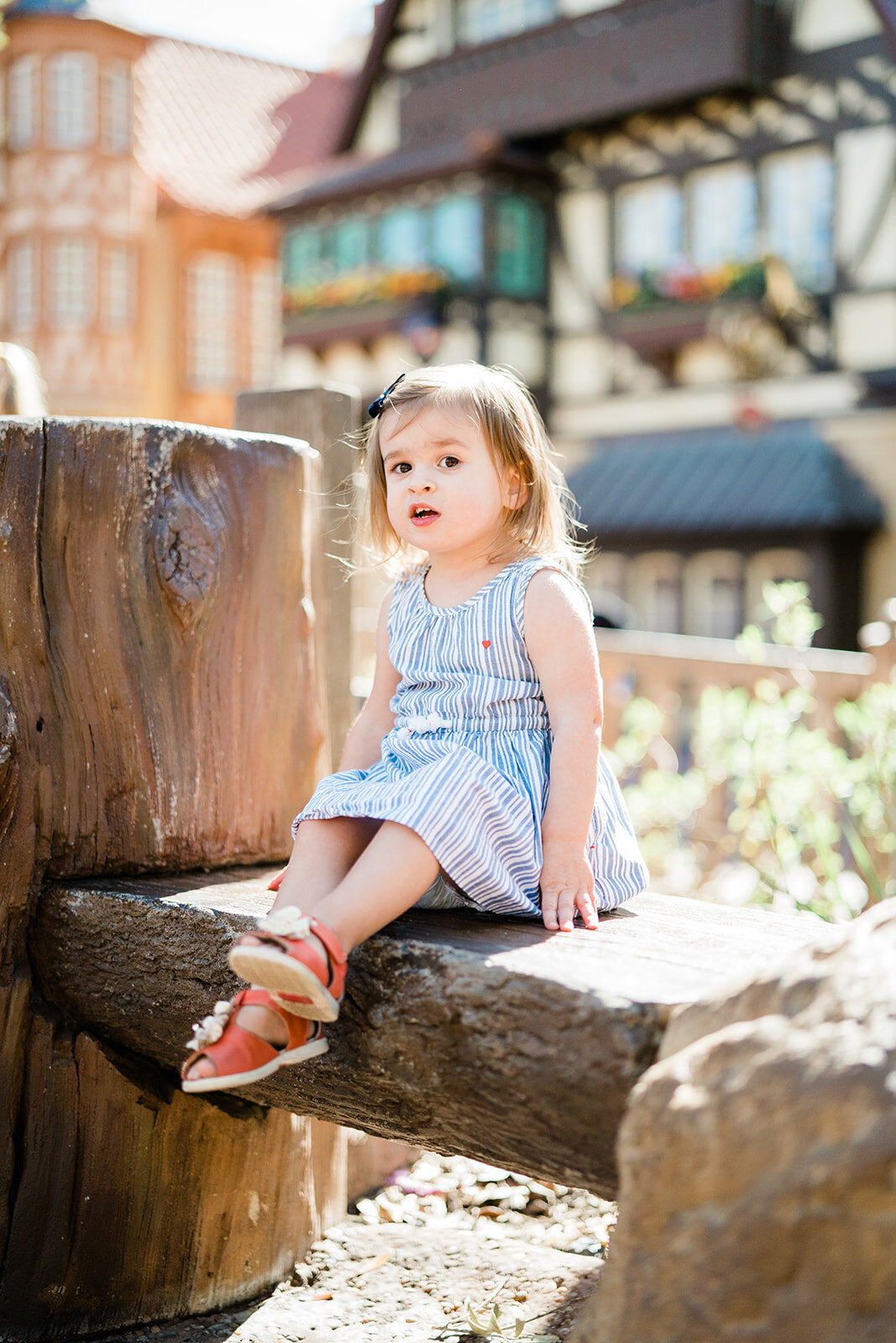Disney Family Photos365