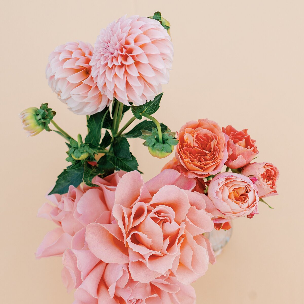 vida-events-wedding--king-family-vineyard-photographer-the-hancocks__1100