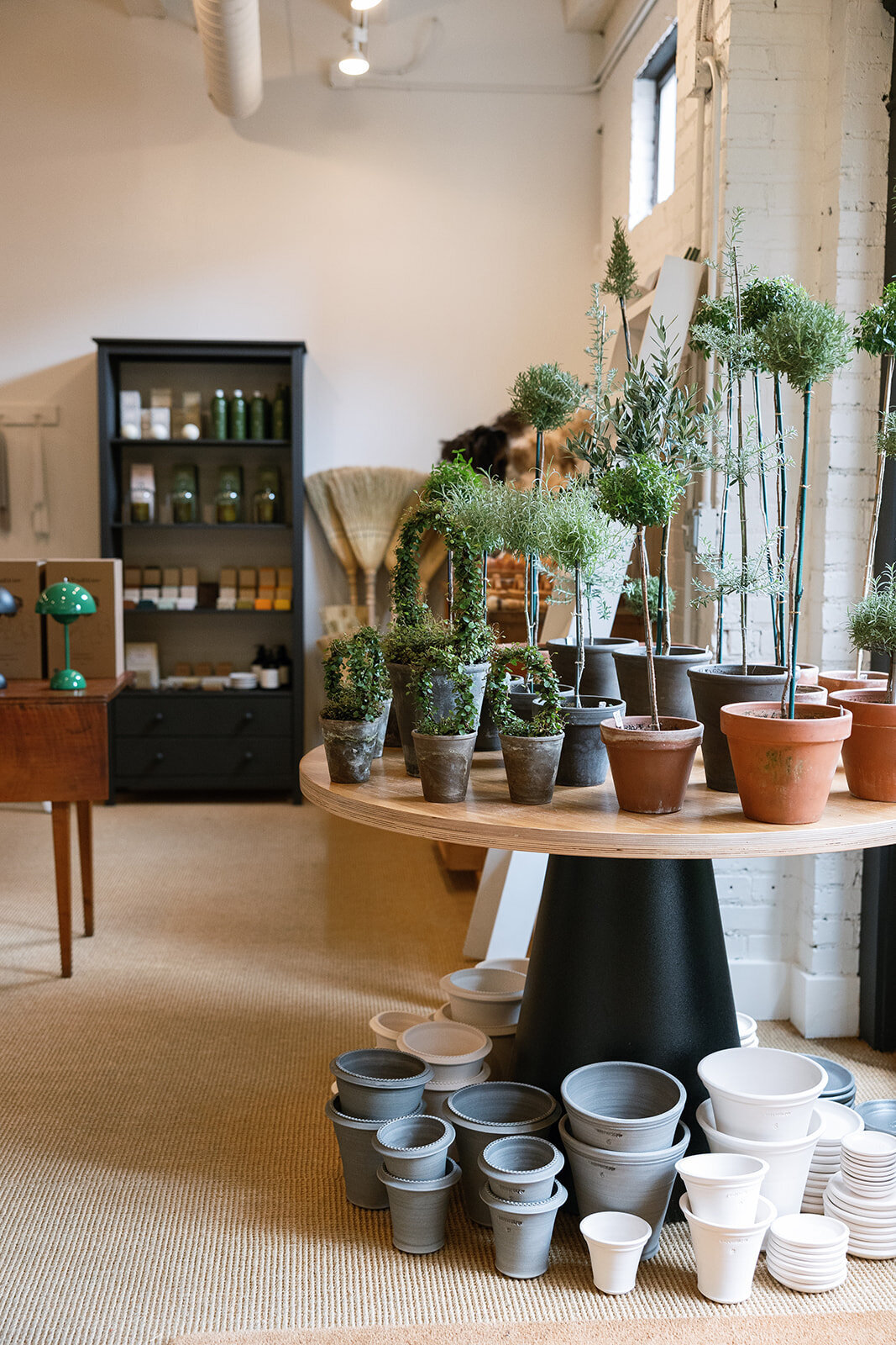 Sarah Bradshaw Editorial & Commercial photograph 0146