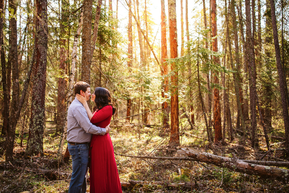 Minnesota-Alyssa Ashley Photography-engagement session-43