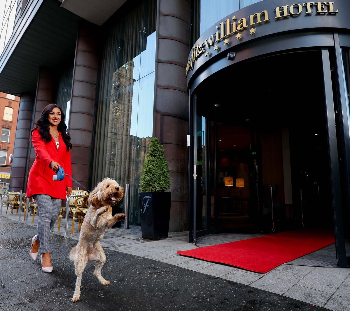 Waterstone - Fitzwilliam Hotel - Belfast - Luxury Boutique Hotel - 1 Fitzwilliam Hotel Belfast Dog Friendly