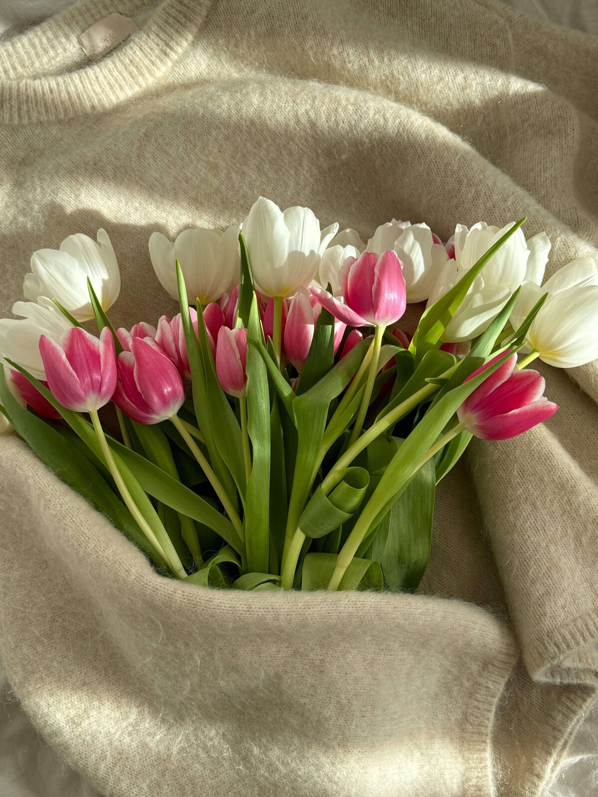 pexels-aljona-ovtsinnikova-121486965-24740437