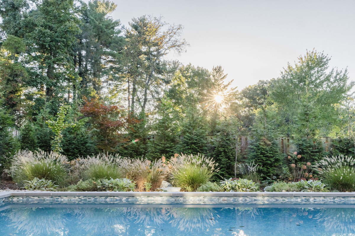 Professional landscaping behind backyard pool with sun peaking through the trees