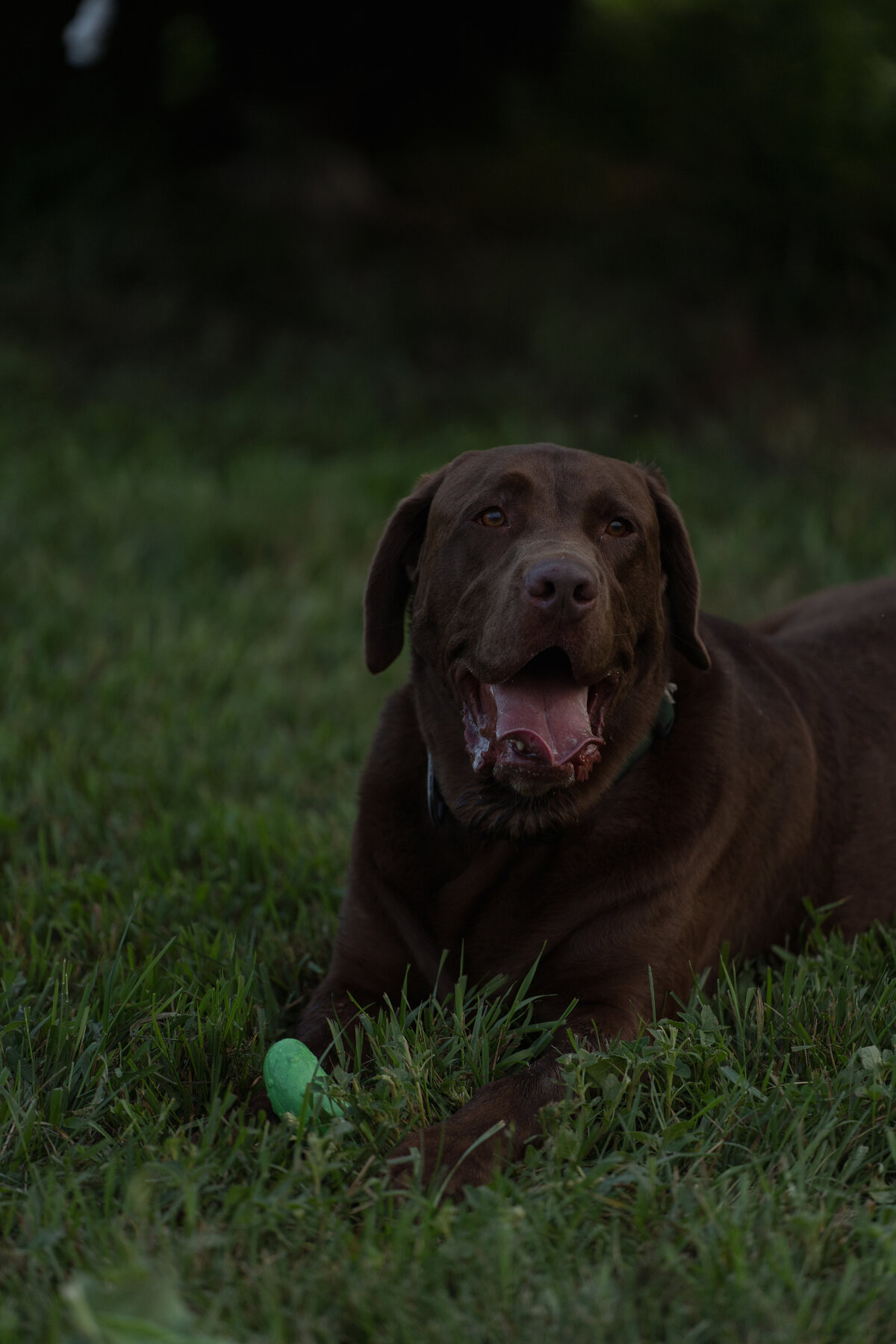 Stitch in Time Photography-042