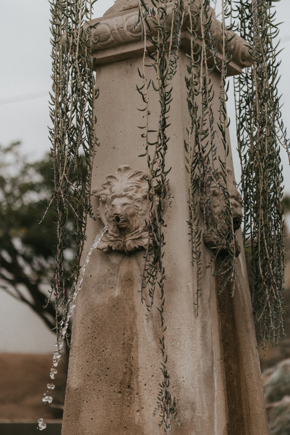 stone garden sculpture and fountain at exclusive destination event venue in mexico