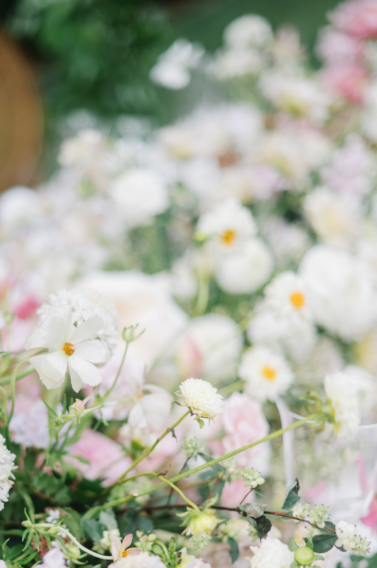 Glenstone-Gardens-Editorial-59