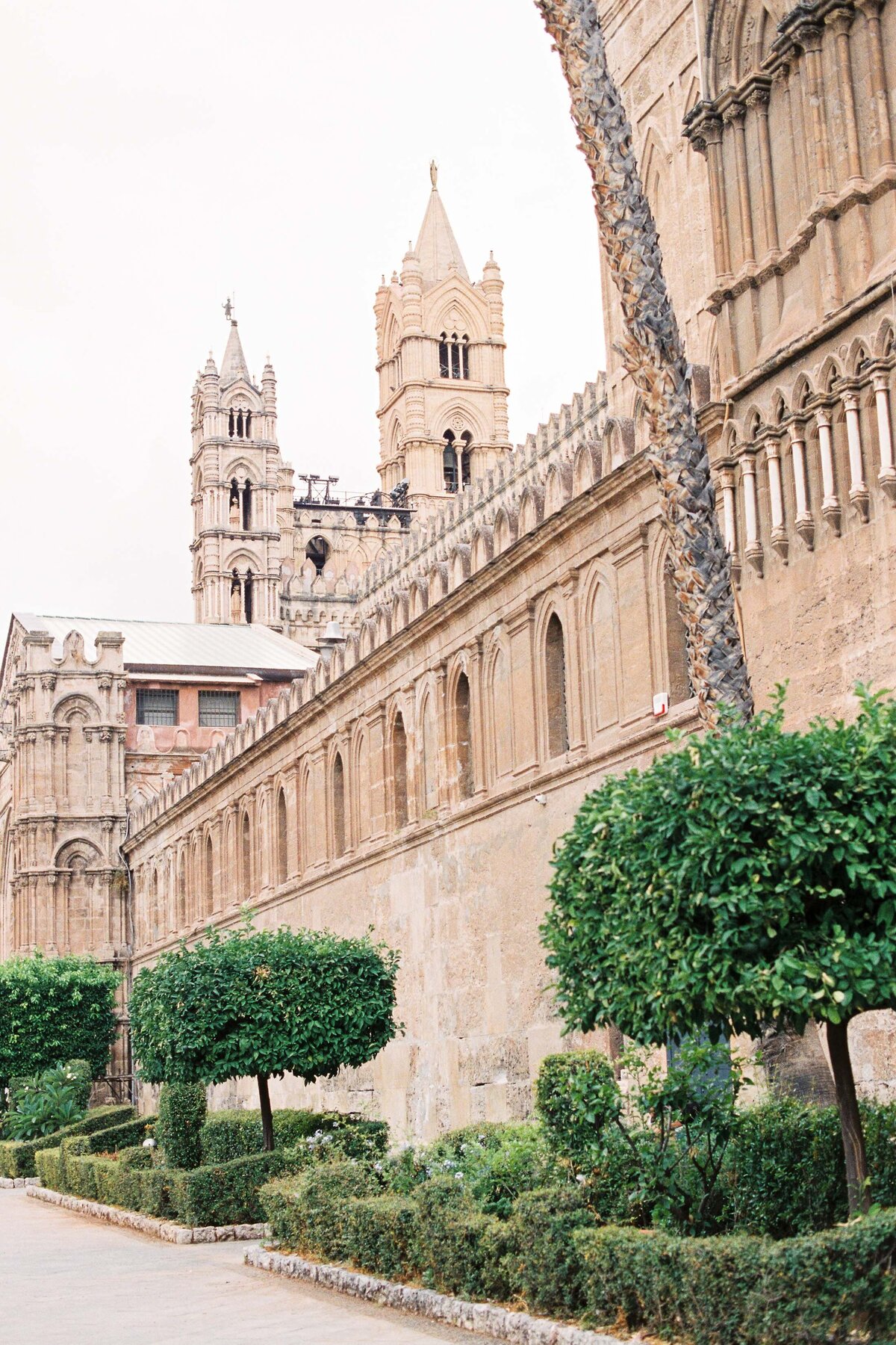 marriage-proposal-mallorca-092