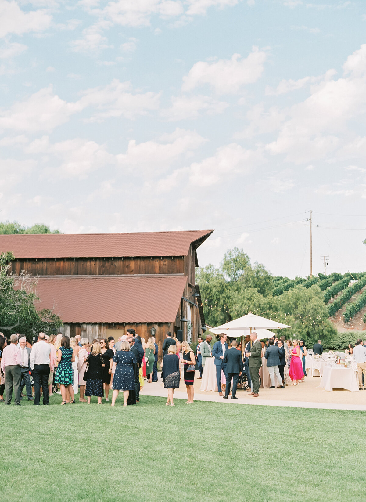 outdoor cocktail hour at Greengate Ranch and Vineyard wedding
