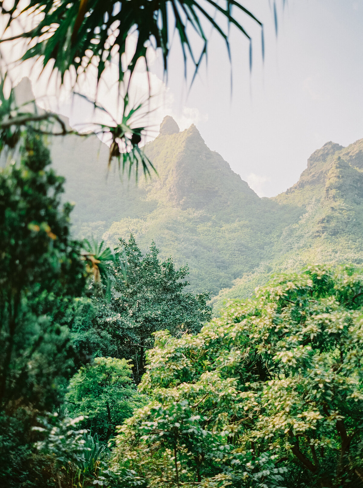 Hawaiian Fine Art Landscape (2 of 1)