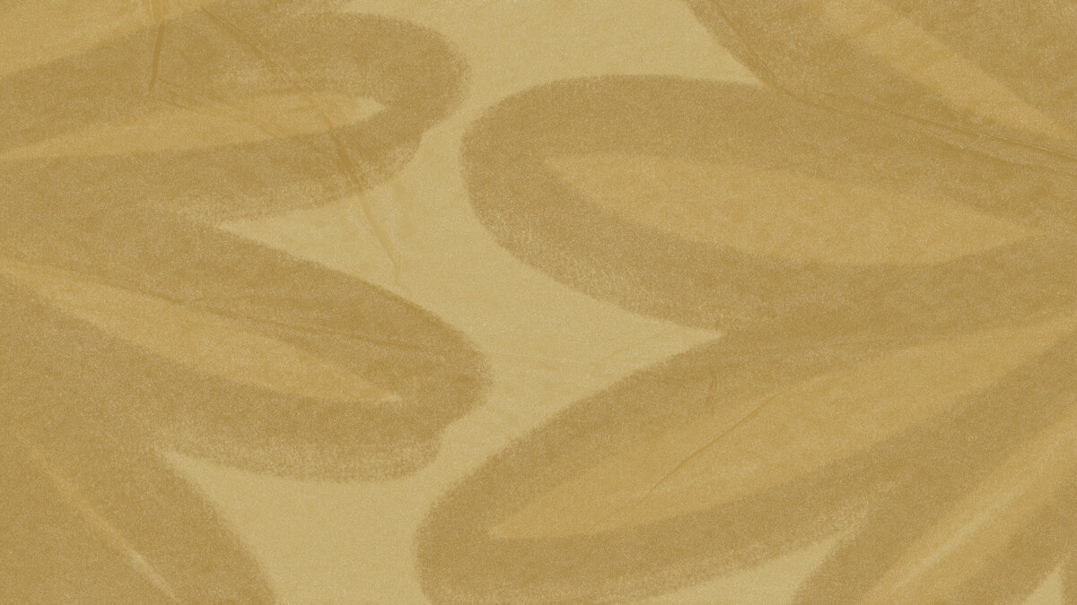 Through Victoria's Lens brand texture