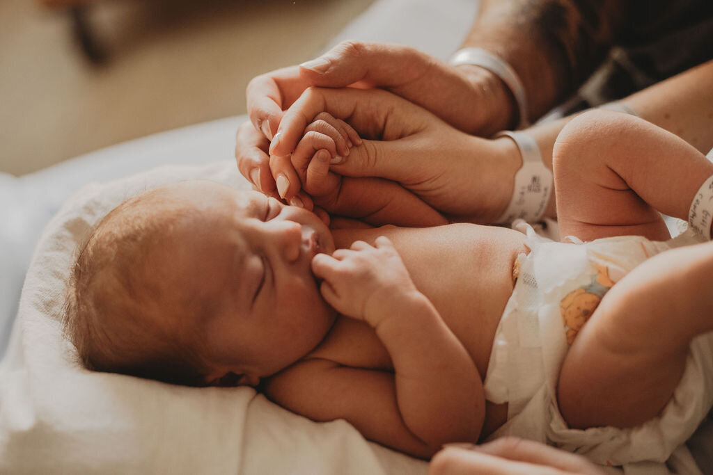 HudsonElizabeth'sFresh48JPEG-166