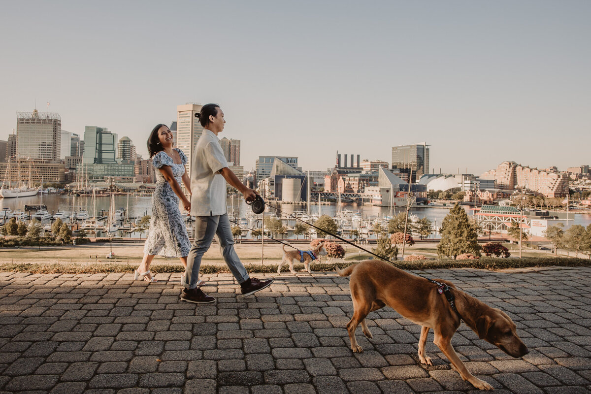 A couple holding hands as one holds a dog's leash 