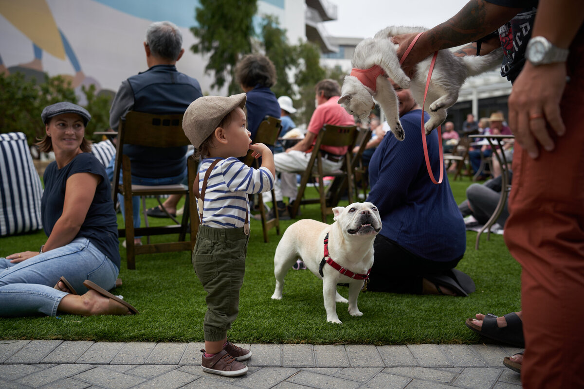 The whole family can come out for our events