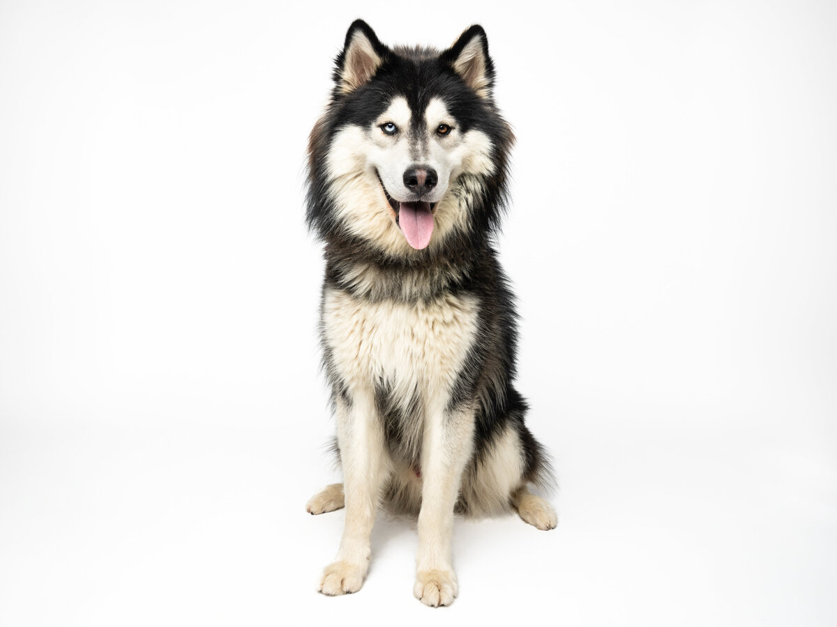 Website3500-DSC01613
