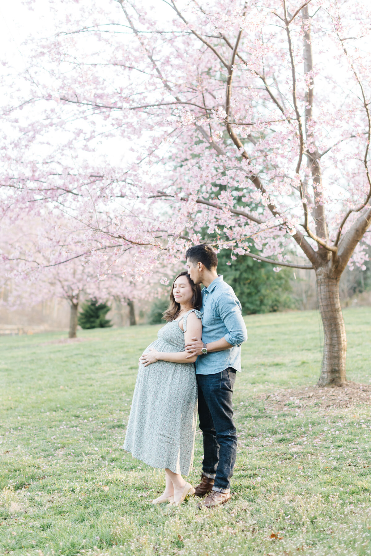 Maryland-Cherry-Blossom-Maternity-Photography009