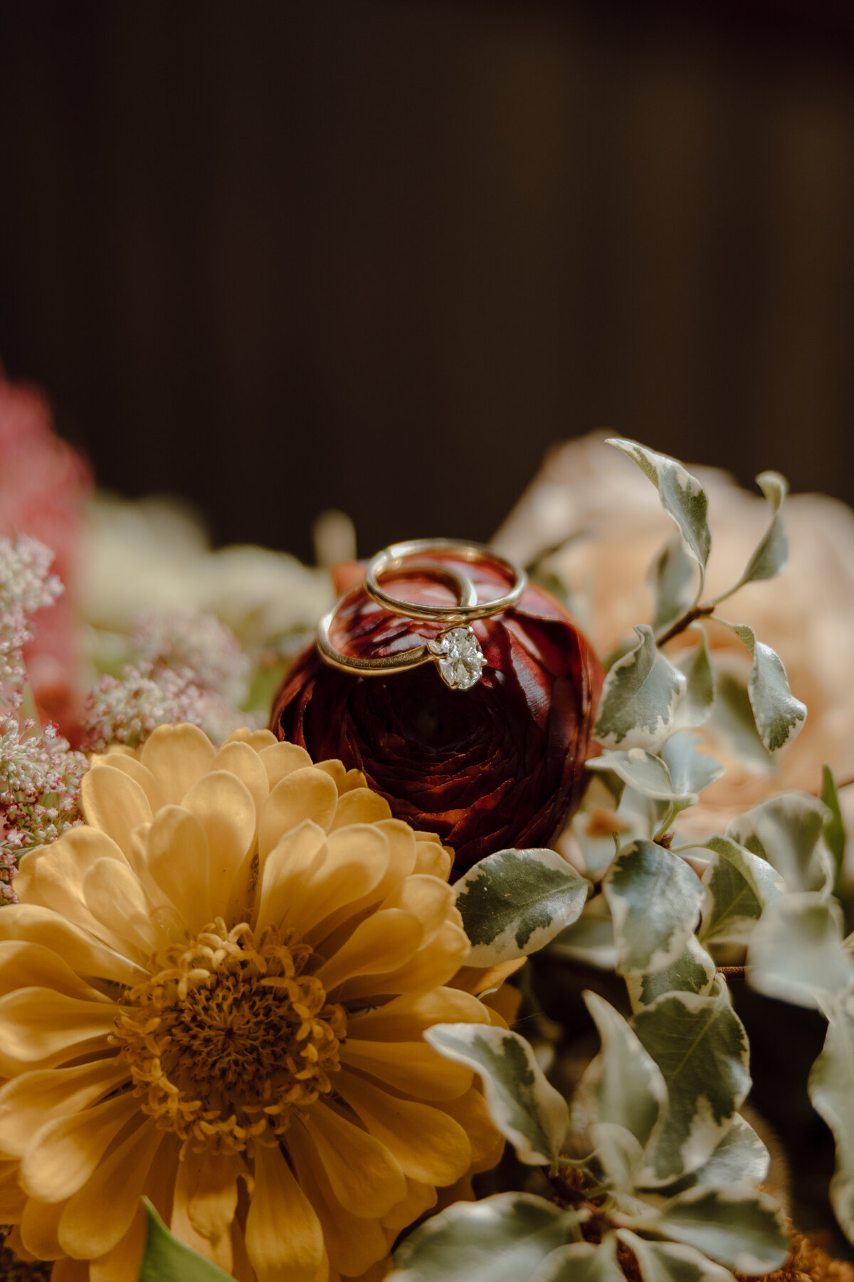 Louisiana_wedding_photographer