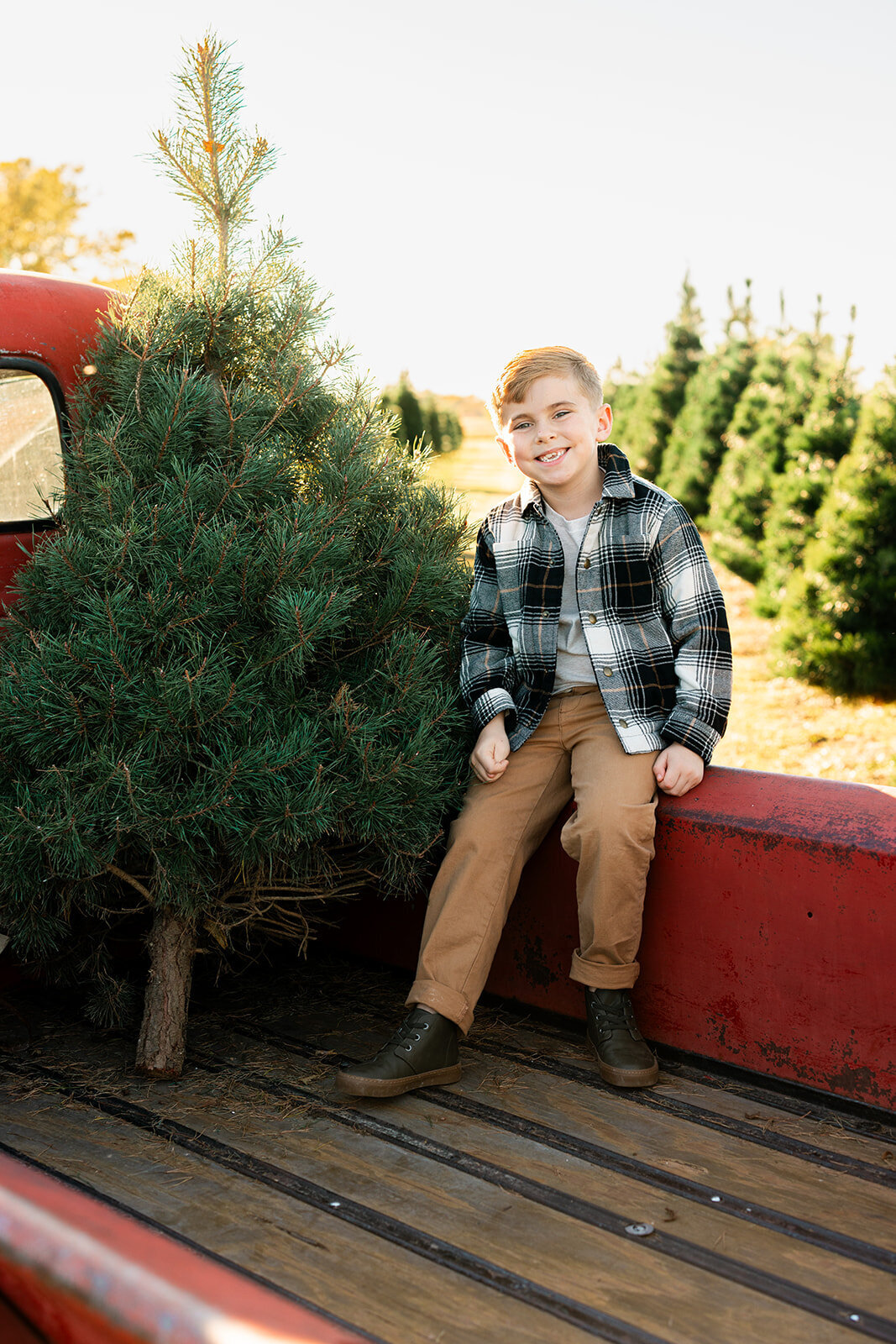 2023_10_20_Alex Bare Photography_Rayburn Family Tree Farm (6 of 108)