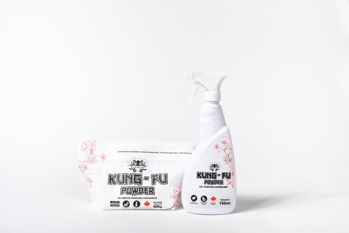 kungfu powder-031