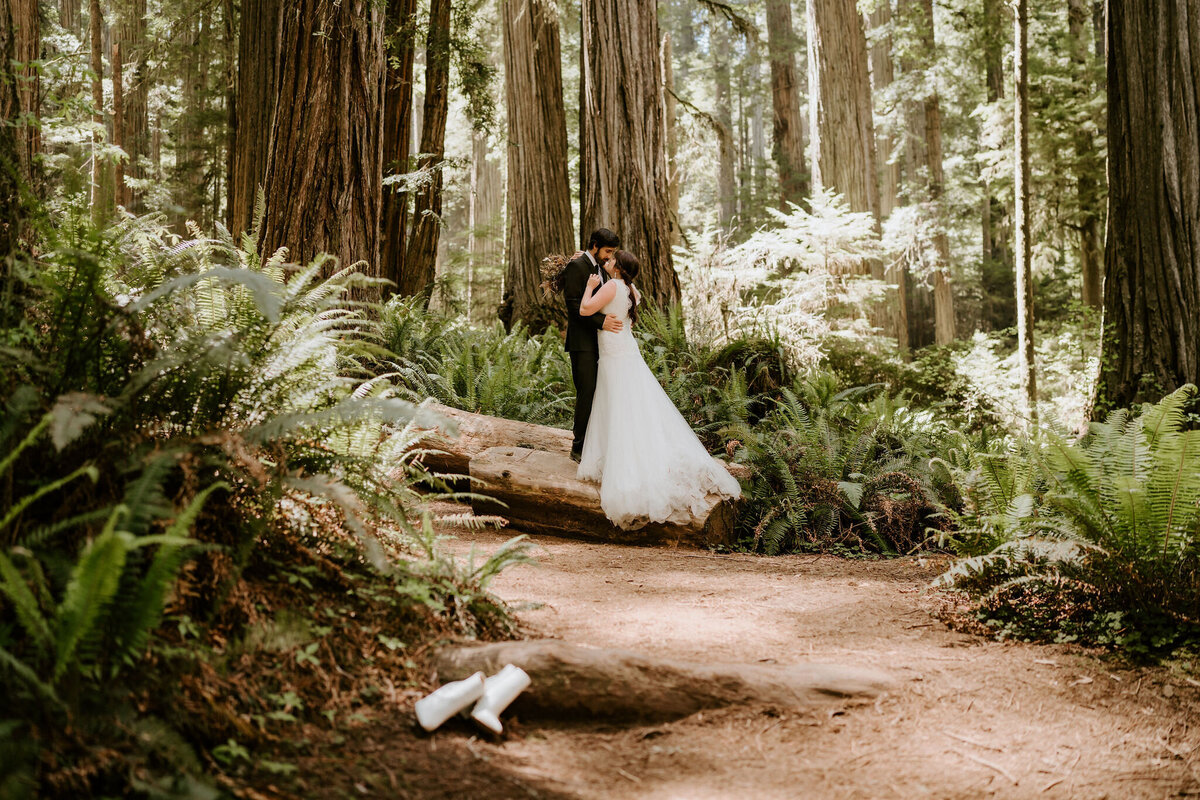 couple just married in the redwoods