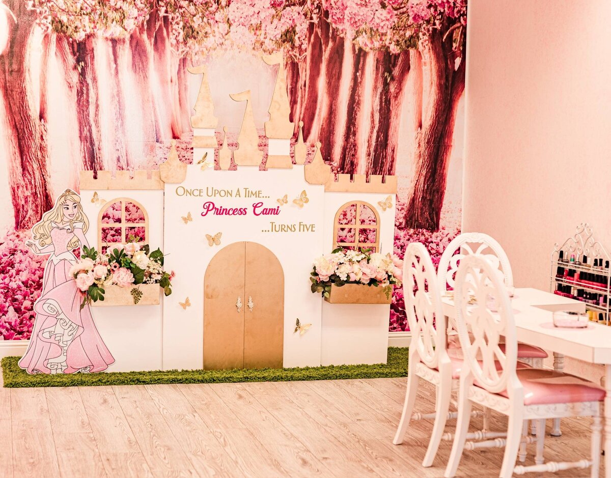 princess-party-erie-co (7)