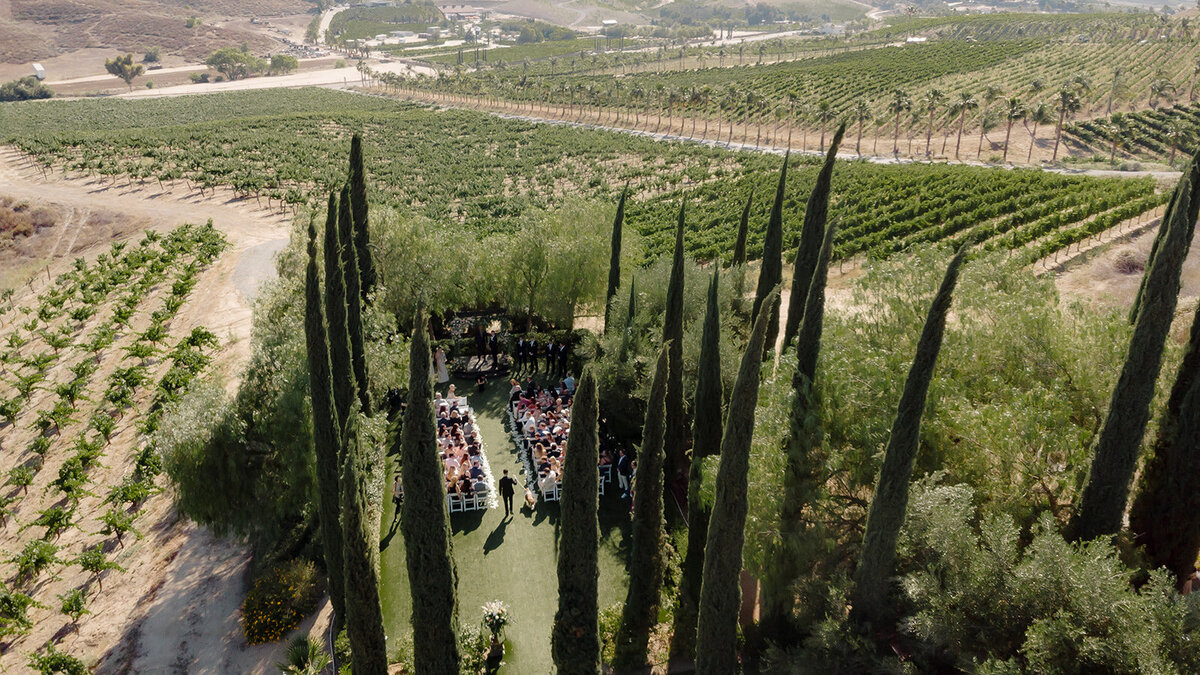 falkner winery temecula wedding 119