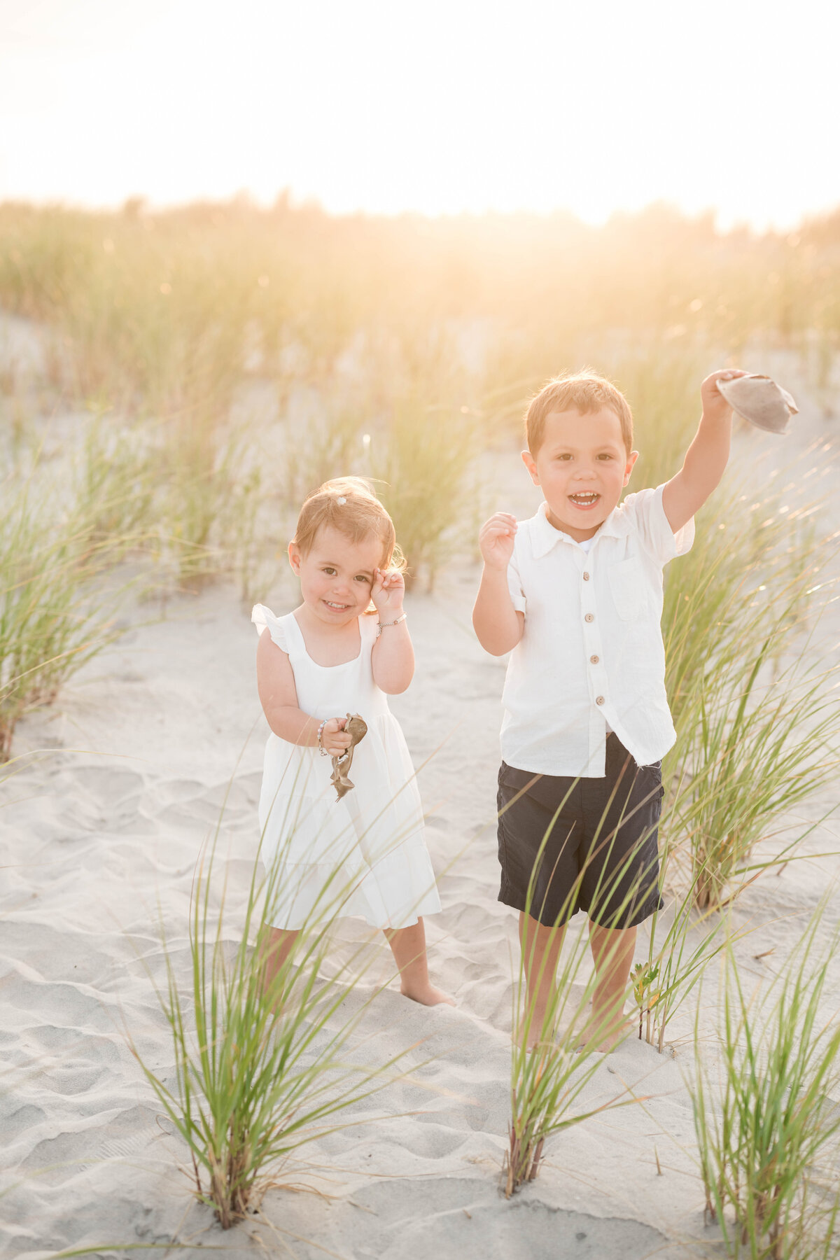 website-1226