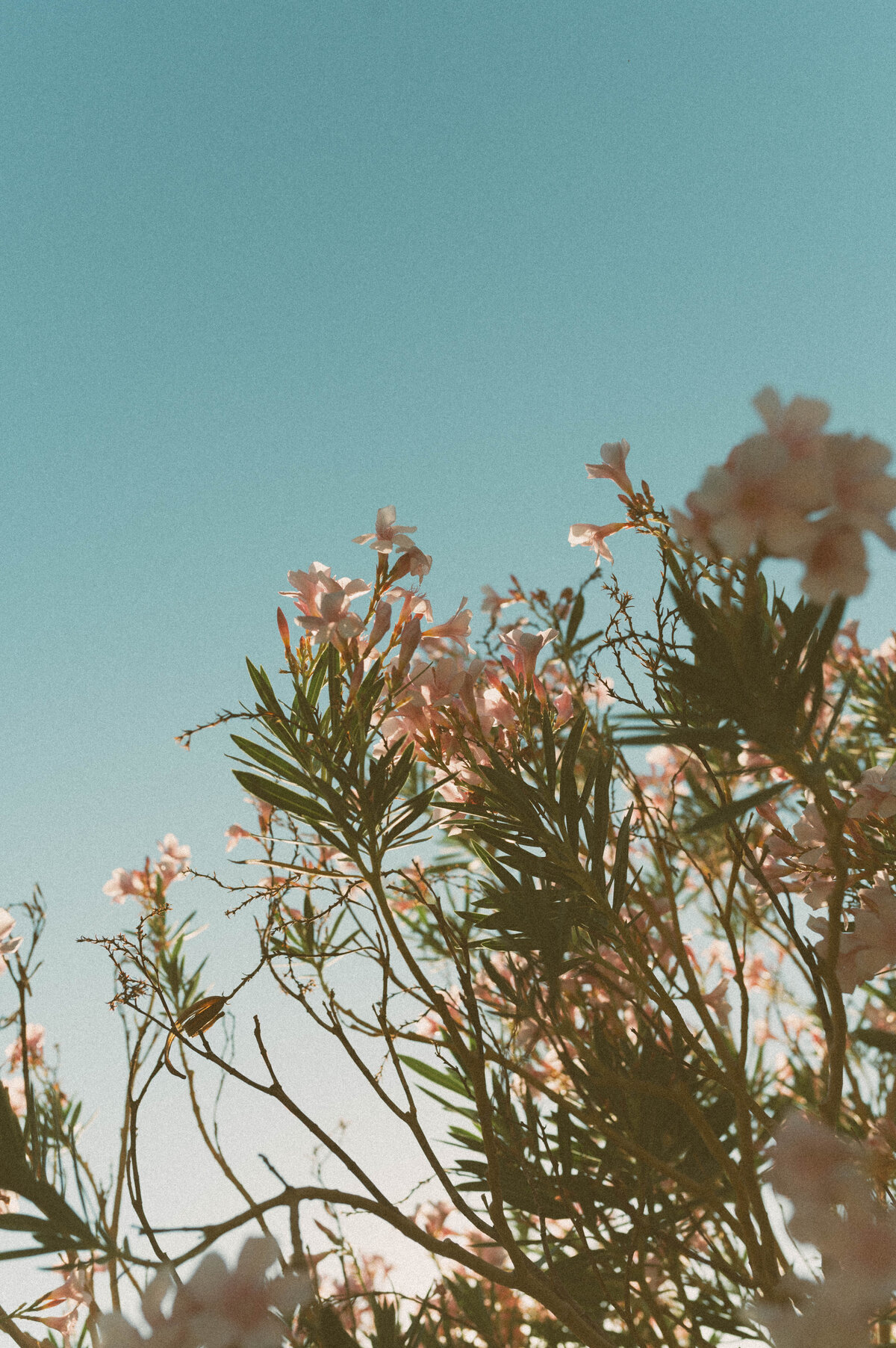 Lake Las Vegas wedding detail shot