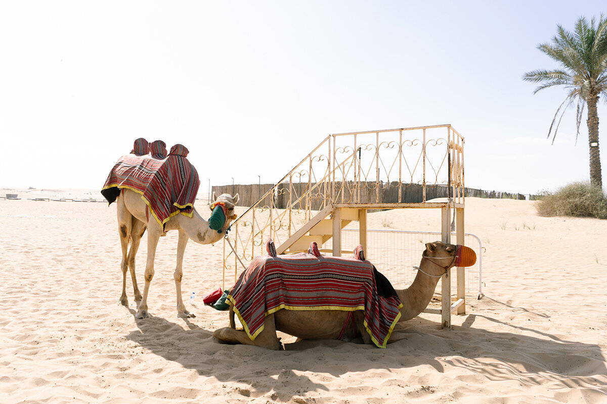 Michelle Norwood Living - Luxury Travel Inspiration - Dubai - thejoee_0393
