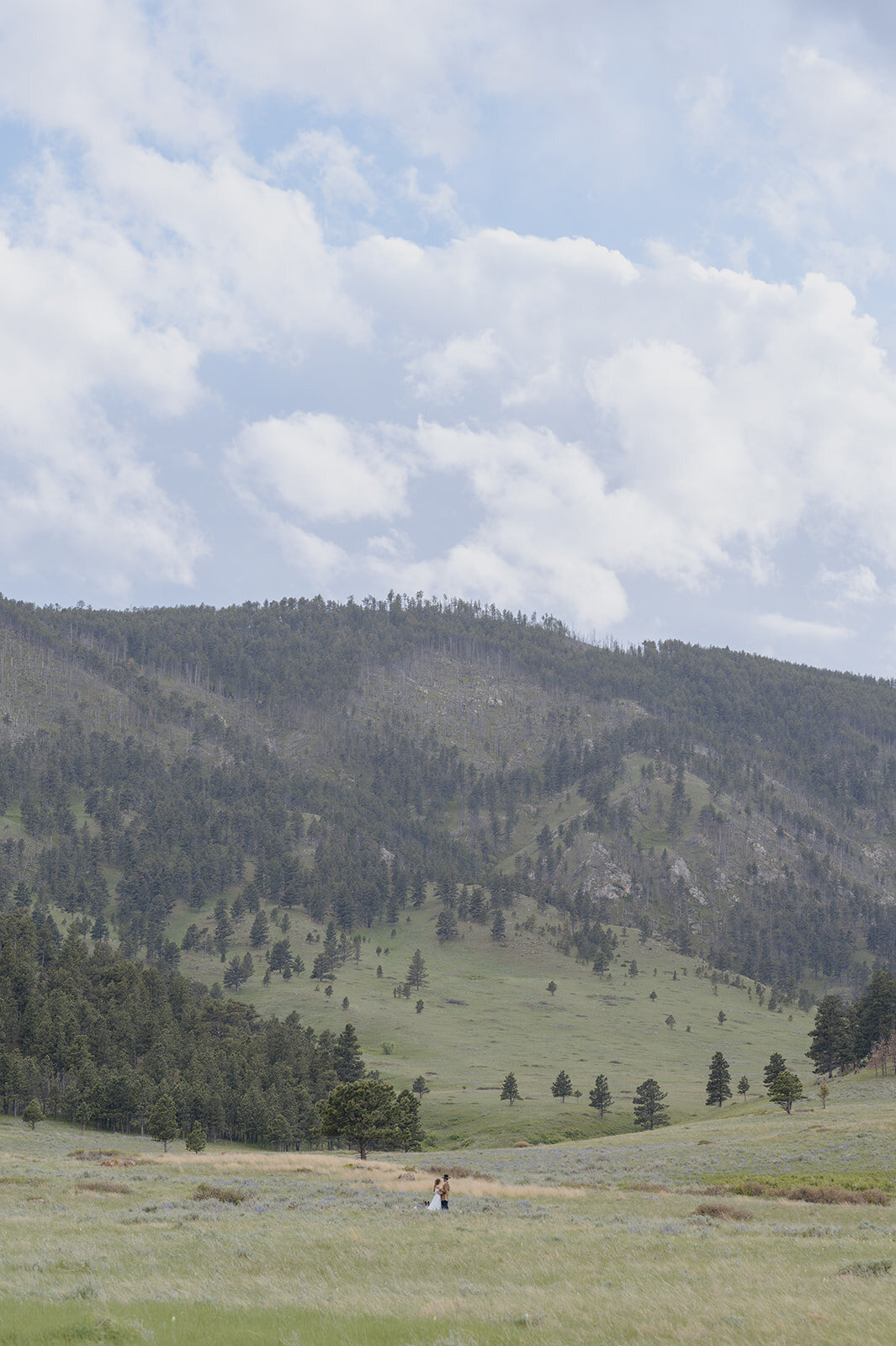 Carly-Patrick-Sheridan-Wyoming-Elopement-105