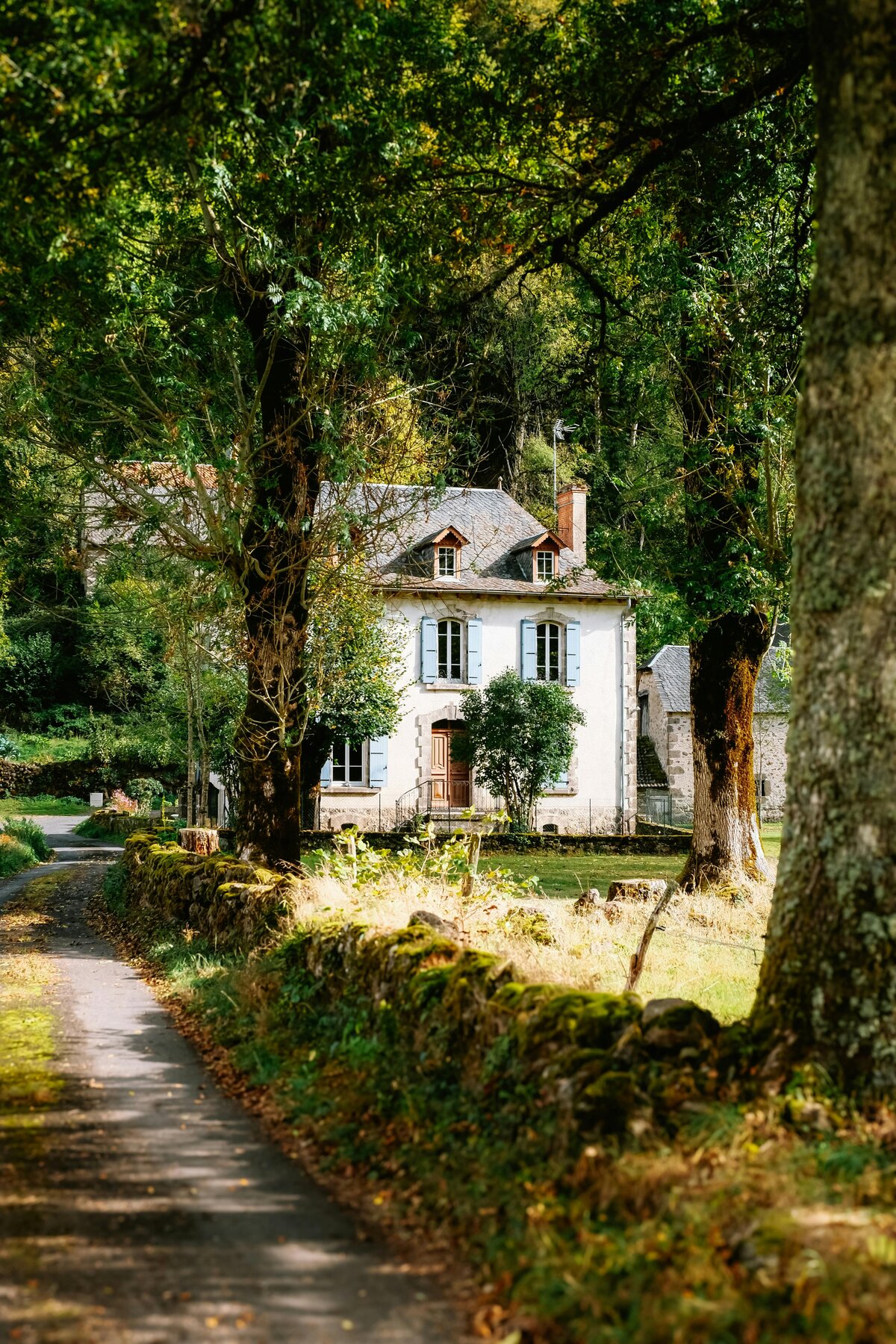 pexels-matreding-18827674