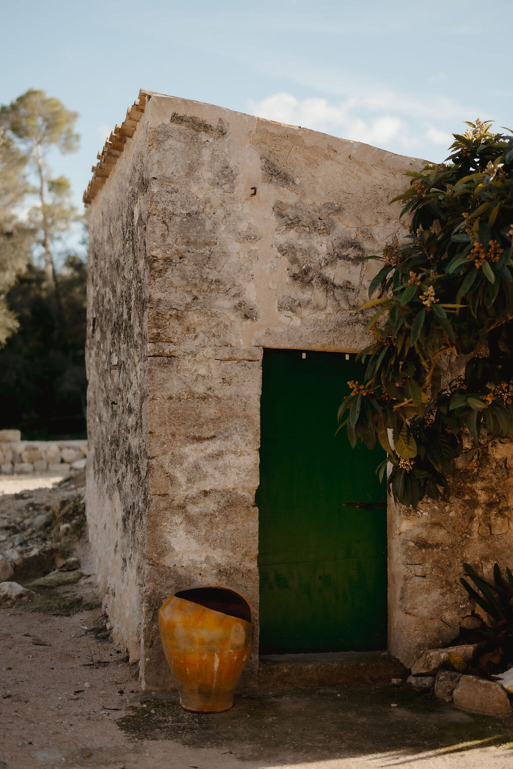 THE AWAKENING ° MIMI FIEDLER  ° THIRTYFIVE