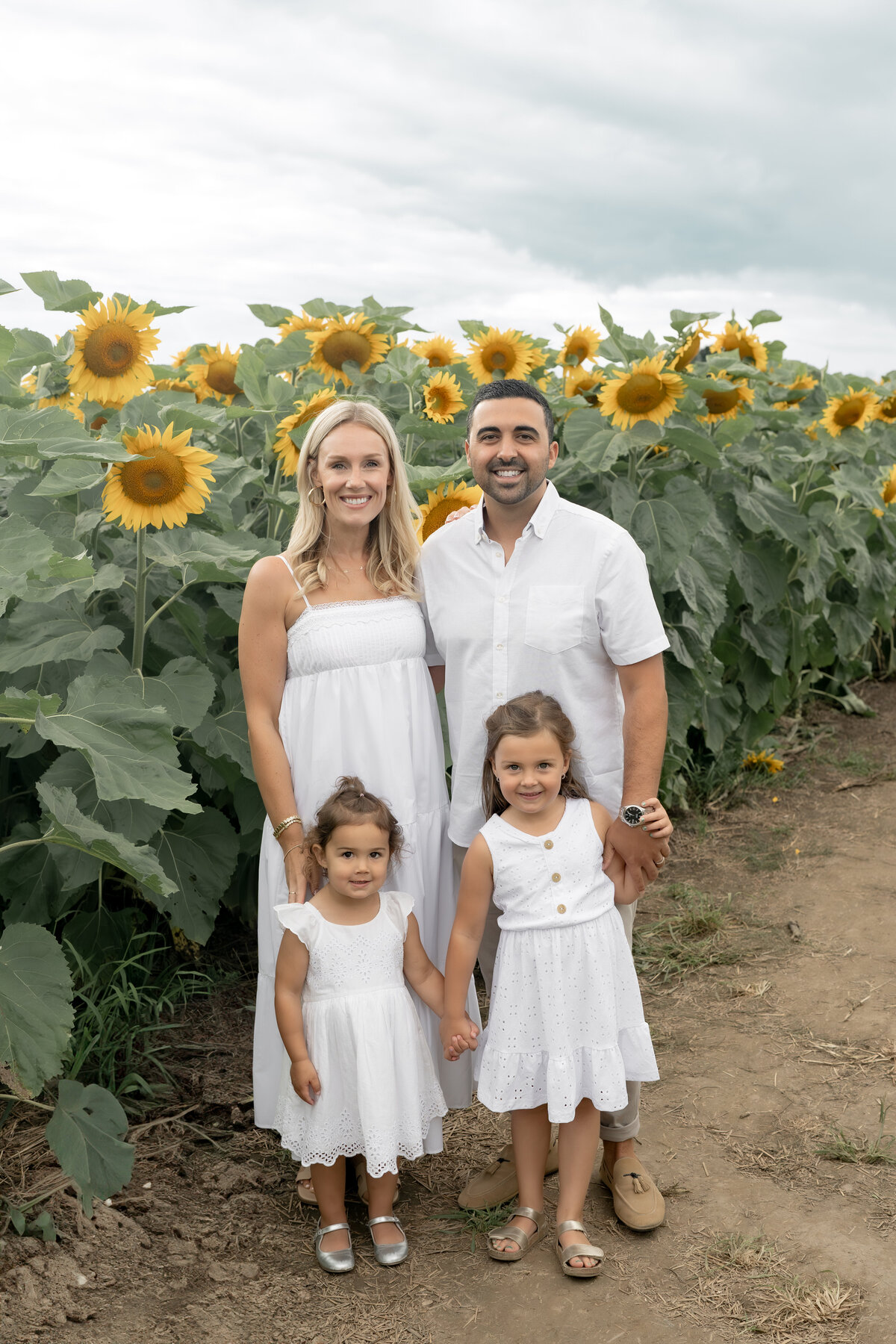 Sunflower Minis - Nadine-1