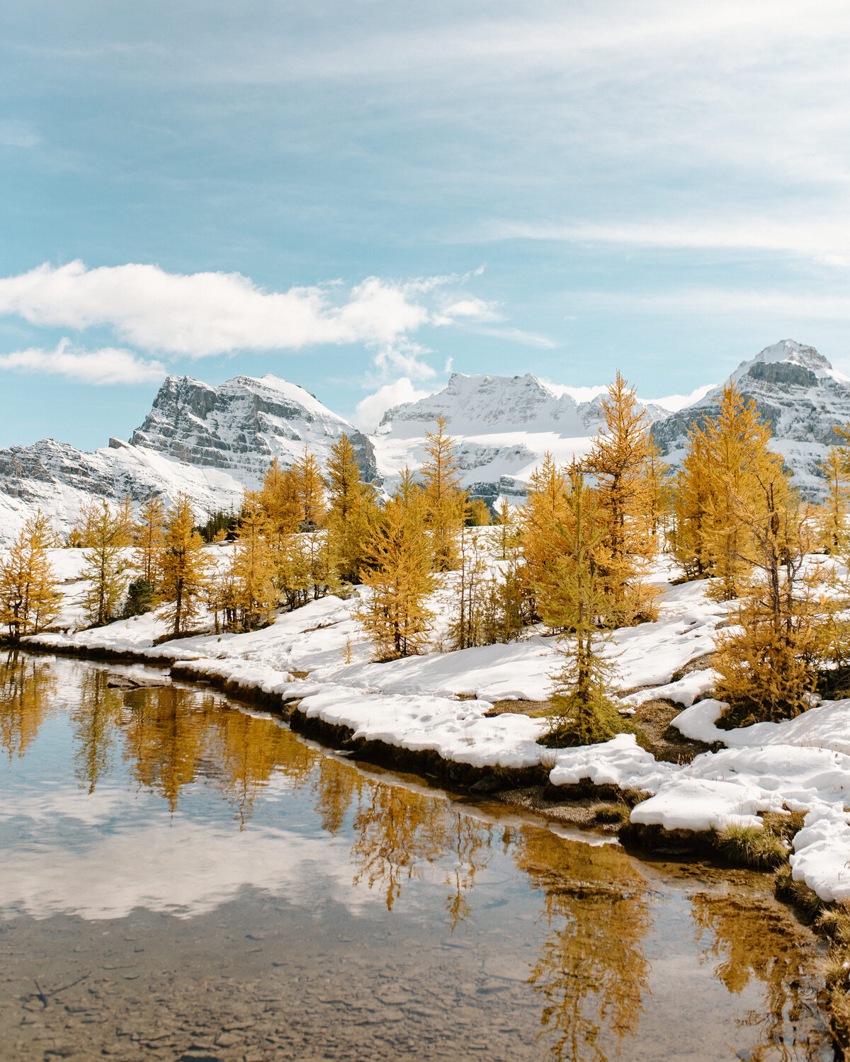 larch_valley_banff_national_park_canada_2