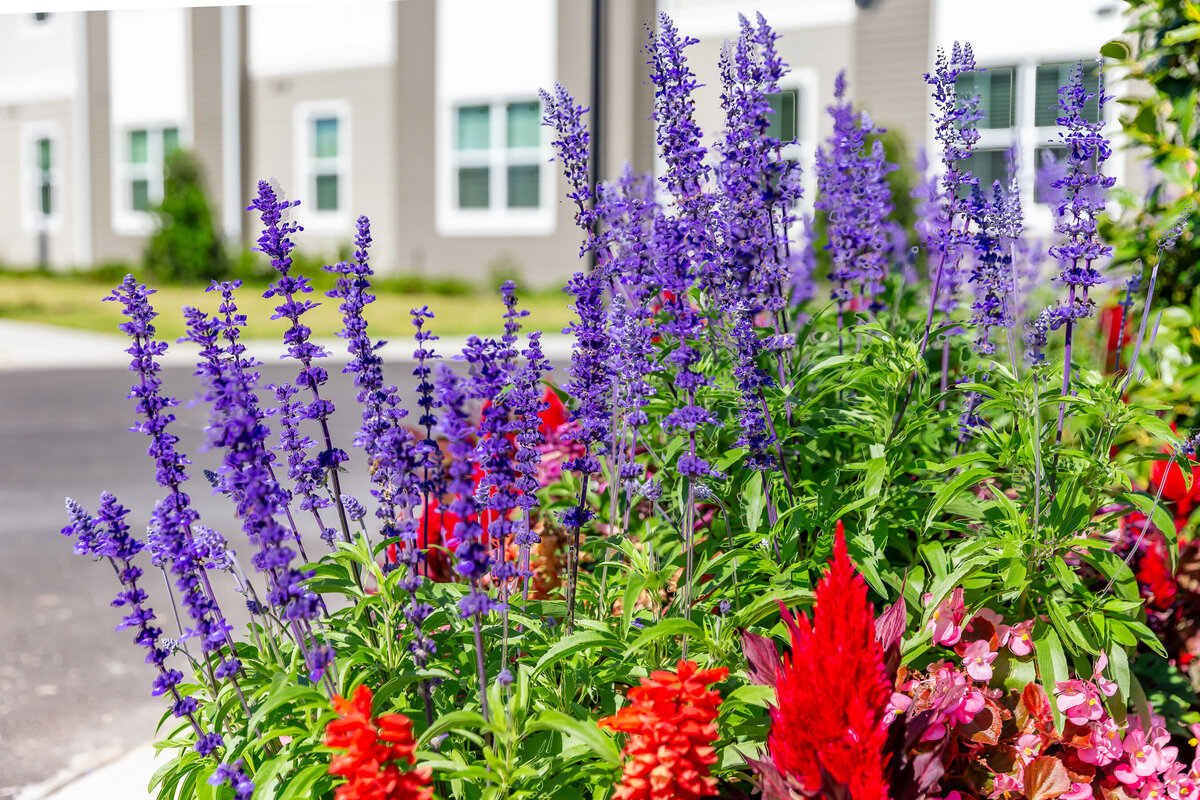 042324ROCHESTERPARK-7