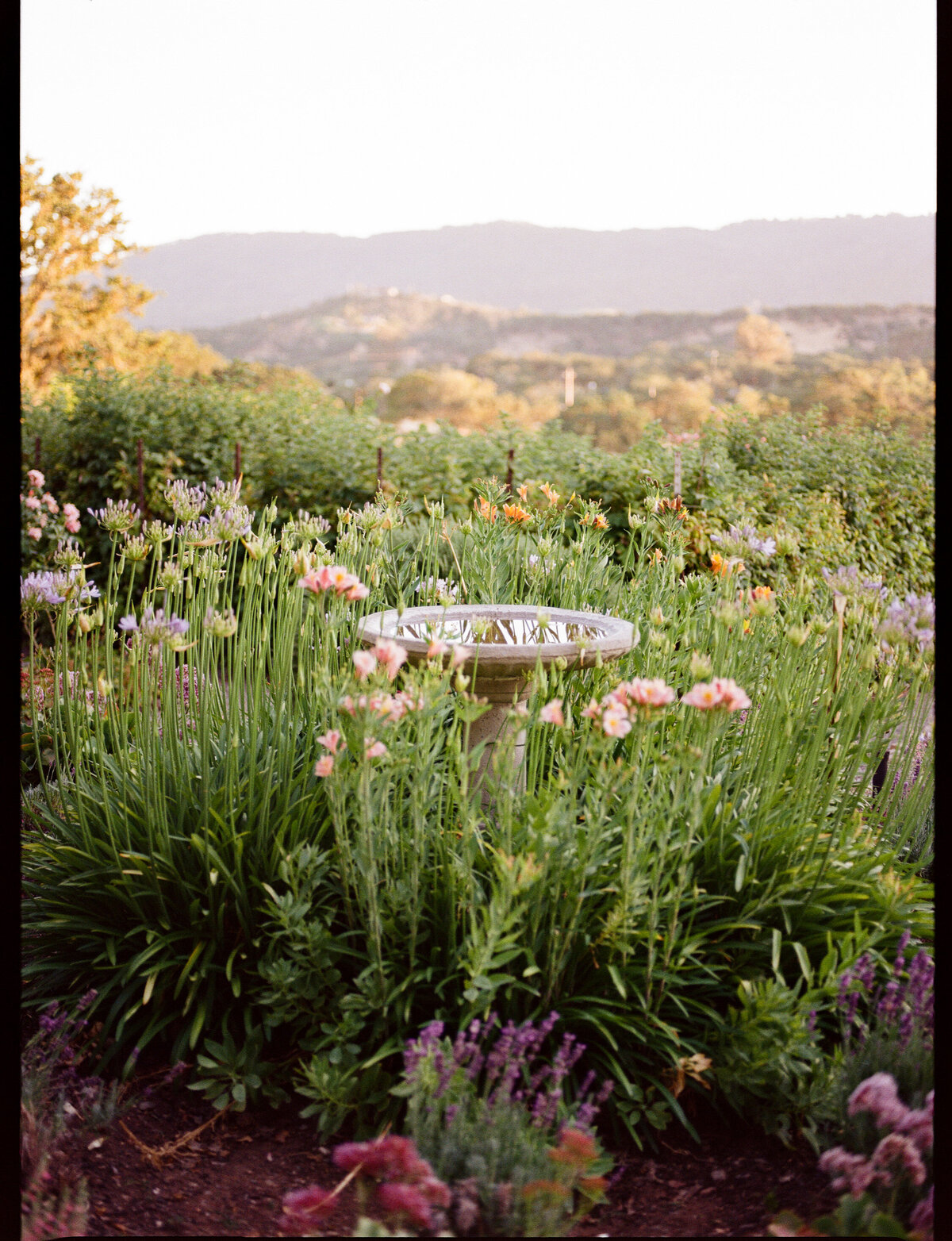 NatalieMax-Wedding-crystalkphotos-687